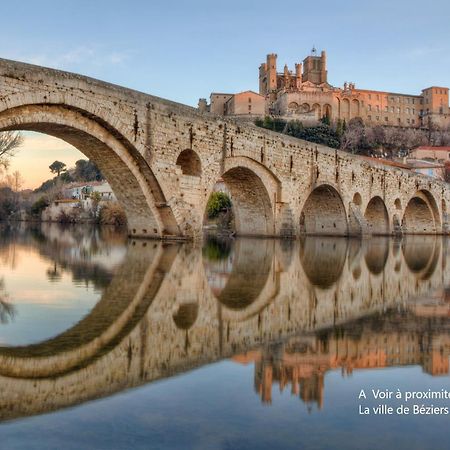 Colorzen - Confortable Lumineux Netflix - Appart Pezenas Centre Bagian luar foto