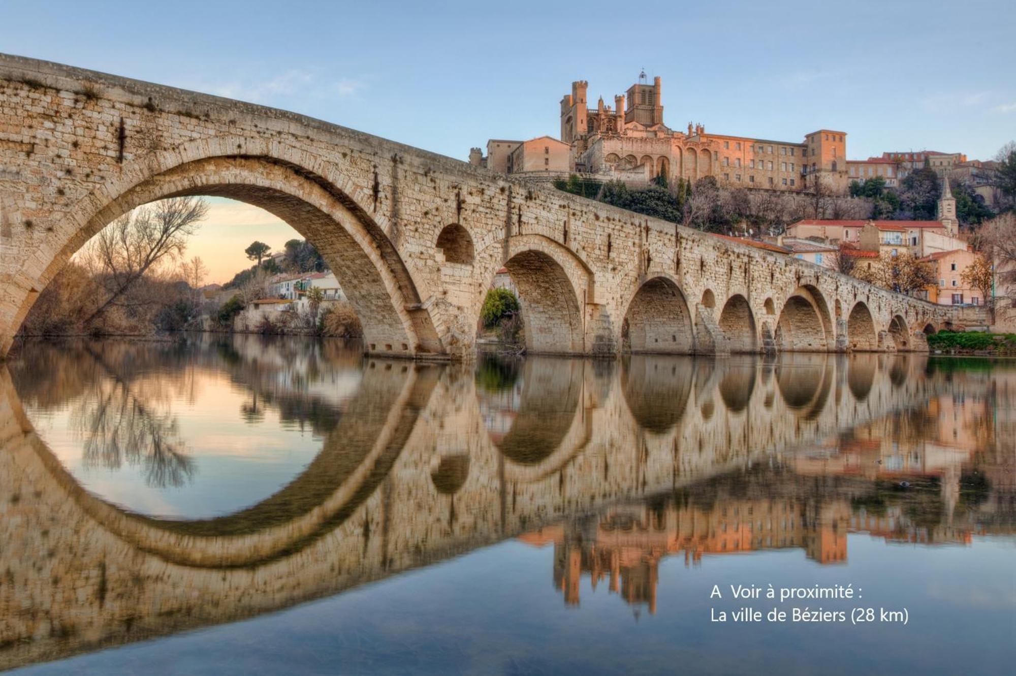 Colorzen - Confortable Lumineux Netflix - Appart Pezenas Centre Bagian luar foto